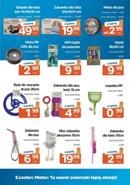 E.Leclerc Drapak dla kota lew 15 x 16 cm oferta