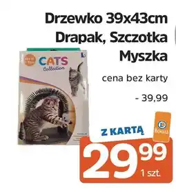 E.Leclerc Szczotka myszka oferta