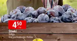 E.Leclerc Śliwki oferta