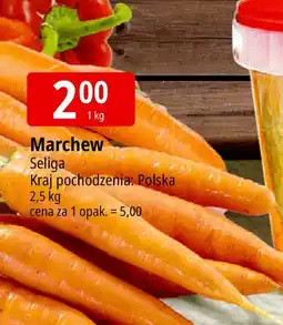 E.Leclerc Marchew polska Seliga oferta