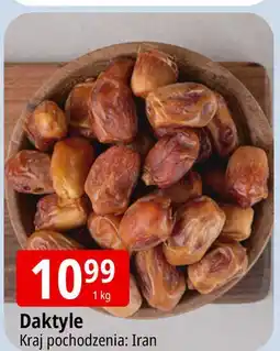 E.Leclerc Daktyle oferta