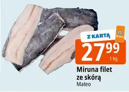 E.Leclerc Miruna mrożona Mateo oferta