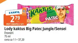 E.Leclerc Lód patec sensei Nestle Kaktus oferta