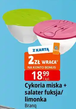 E.Leclerc Miska cykoria + sztućce limonka Branq oferta