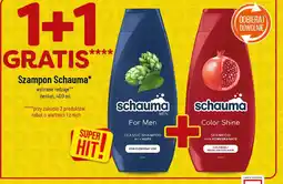 Polomarket Szampon Schauma oferta