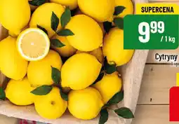 Polomarket Cytryny oferta