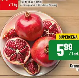 Polomarket Granat oferta
