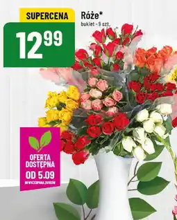 Polomarket Róże oferta