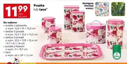 Biedronka Puszka lub taca oferta