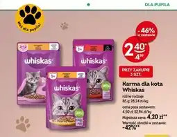 Żabka Karma dla kota oferta