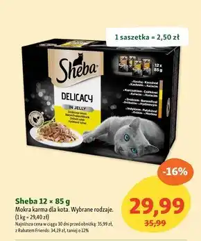 Maxi Zoo Mokra karma dla kota Sheba oferta