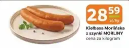 Gama Kiełbasa Morliny oferta