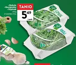 Intermarche Szpinak Rukola oferta