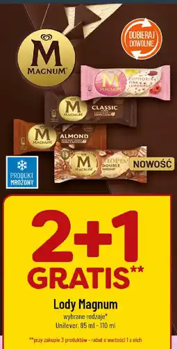 Polomarket Lody Magnum oferta