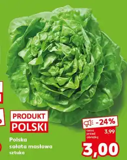 Kaufland Sałata masłowa Polski oferta