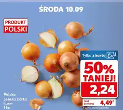 Kaufland Cebula Polski oferta
