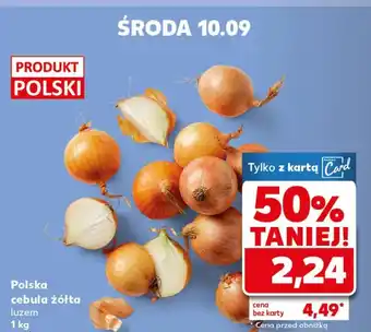 Kaufland Cebula Polski oferta