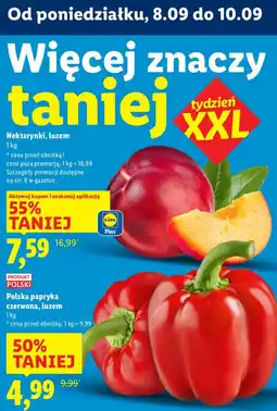 Lidl Papryka czerwona Lidl oferta