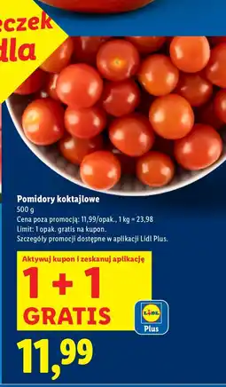 Lidl Pomidory koktajlowe Lidl oferta