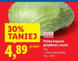 Lidl Kapusta gołąbkowa polska Lidl oferta