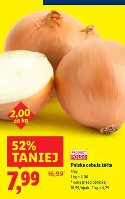 Lidl Cebula żółta polska Produkt Polski oferta