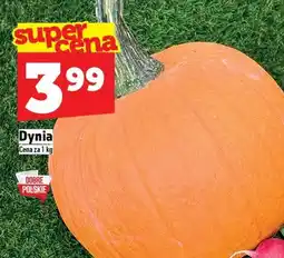 Topaz Dynia TOPAZ oferta
