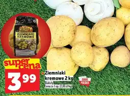 Topaz Ziemniaki kremowe Gruntu oferta