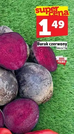 Topaz Burak czerwony TOPAZ oferta