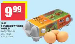 Spar Jajka z wolnego wybiegu rozmiar M Invest Michel oferta