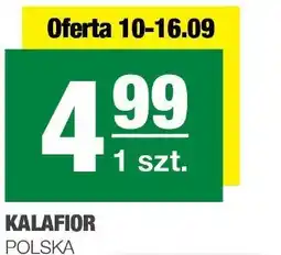 Spar Kalafior polska SPAR oferta