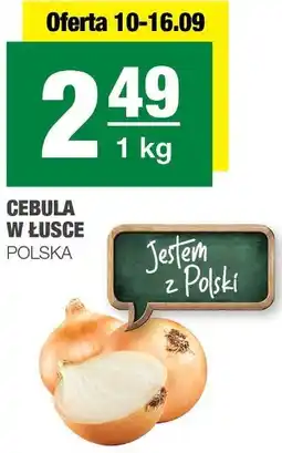 Spar Cebula w łusce polska SPAR oferta