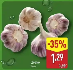 ALDI Czosnek Aldi oferta