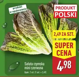 ALDI Sałata rzymska mini czerwona Aldi oferta