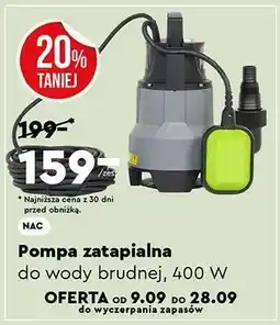 Biedronka Pompa zatapialna oferta