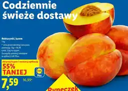 Lidl Nektarynki oferta
