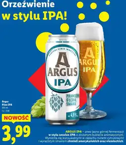 Lidl Piwo Argus IPA oferta