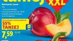 Lidl Nektarynki Lidl oferta