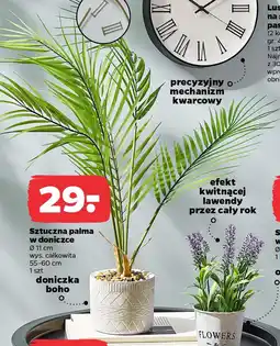 Netto Sztuczna lawenda w metalowej doniczce oferta