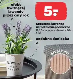 Netto Sztuczna lawenda w metalowej doniczce oferta