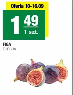EuroSPAR Figa turcja oferta