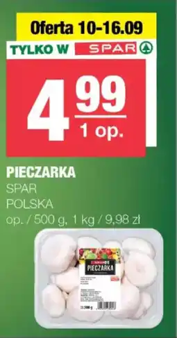 EuroSPAR Pieczarka spar oferta
