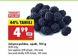 Biedronka Jeżyna polska Biedronka oferta