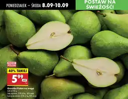 Biedronka Gruszka Paten na wagę Biedronka oferta