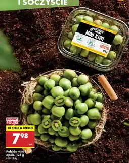Biedronka Polskie mini kiwi Biedronka oferta