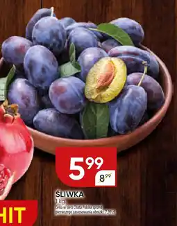 Chata Polska Śliwka Chata Polska oferta