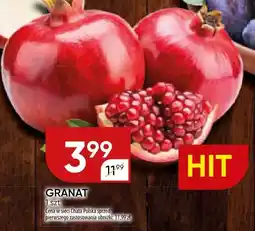 Chata Polska Granat Chata Polska oferta