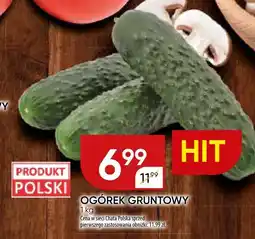 Chata Polska Ogórek gruntowy Chata Polska oferta