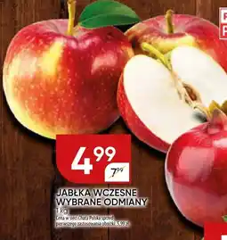 Chata Polska Jabłka wczesne wybrane odmiany Chata Polska oferta