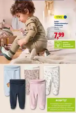 Lidl Lupilu Spodnie niemowlęce z biobawełny oferta