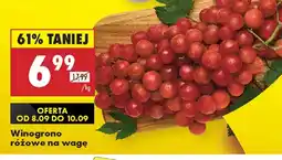 Biedronka Winogrona oferta